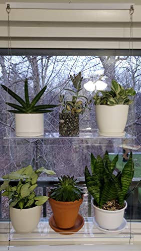 Hanging Acrylic Shelves for Windows (34" Wide, 4 Shelves - 55" Tall) - size: 4 Shelves - 55" Tall, style: 34 Inches Wide