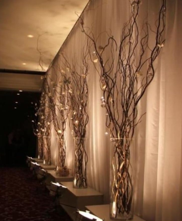 7 Thick and Tall Natural Curly Willow Branches for Decor, 3-4 Feet Long - Wedding or Christmas Decor, Wreathmaking (7 Branches)