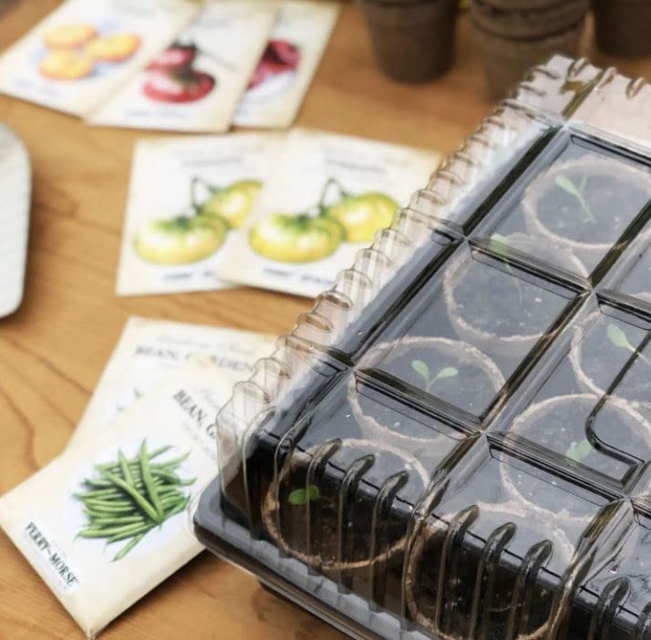 Jiffy Seed Starting Clear Humidity GRO-Dome - 11 in. x 22 in.