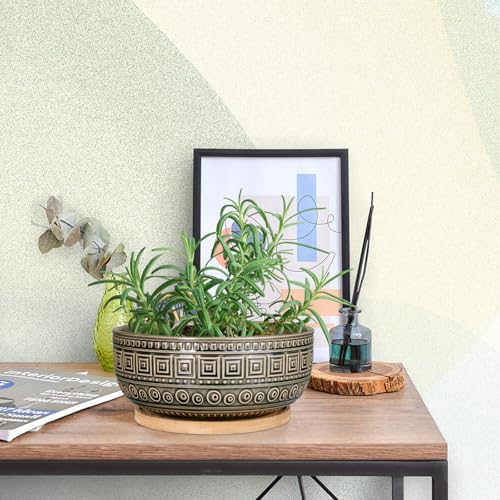 G EPGardening 8 Inch Ceramic Succulent Planter Pots Round Shallow Bonsai Planter Pot for Indoor Plants with Drainage and Bamboo Saucer Gray - color: Gray
