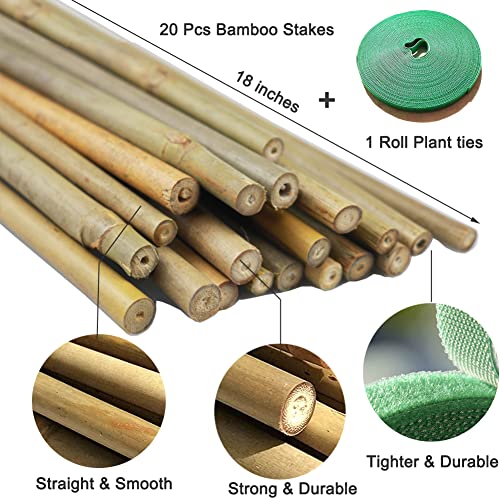 Yowlieu 20 Pcs Natural Bamboo Stakes + 1 Roll Garden Ties, 18 Inches Bamboo Sticks Gardening Plant Support Stakes for Indoor Plants, Tomato, Potted Plants - size: 20 Pcs Stakes + 1 Roll Plant Ties