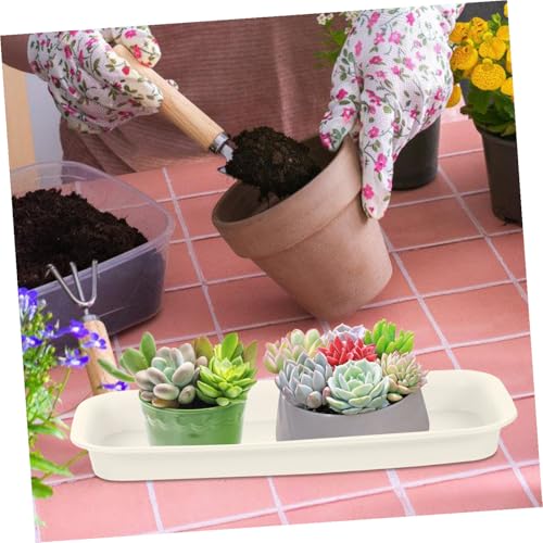 Healeved 3pcs Plastic Flowerpot Trays Rectangular Plant Saucer Elegant Square Plant Water Plate Bonsai Water Trays - size: 24.00X8.50X2.50CM