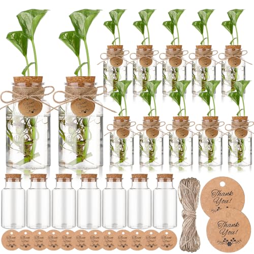 Baderke 24 Pack 4.84'' Plastic Plant Propagation Stations with Hole Lid Planter Vase Clear Propagation Jars with Thank You Tags for Plant Lover Gifts for Women Office Home Garden