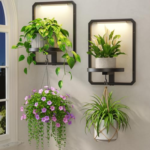 LASZOLA Plant Picture Frame Holder Shelf Wall with Lights, 2 Pcs Black - color: Black with Lights, size: 2