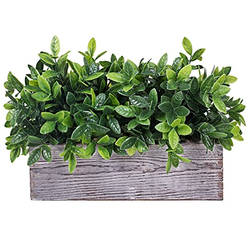 Winlyn Artificial Eucalyptus Plant in Rustic Rectangular Wooden Planter Box Faux Potted Herb Plant Greenery Arrangement for Farmhouse Indoor Wedding Table Centerpiece Mantel Shelf Kitchen Decor