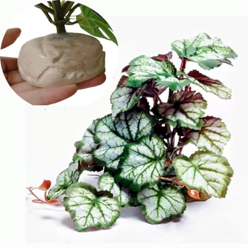 Fake Plants for Reptiles,Artificial Plants for Terrarium Decor - color: Green Heuchera Micrantha
