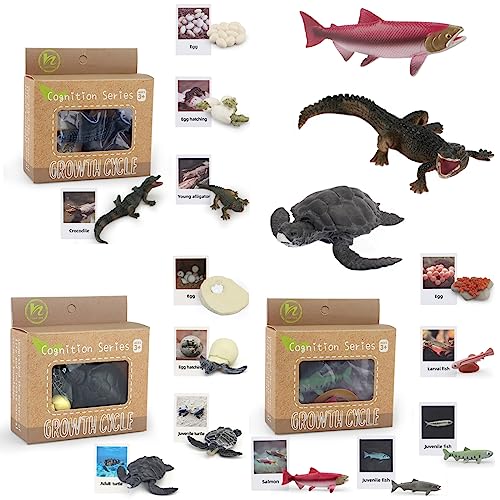 Montessori Life Cycle Animal Plastic Insect Figurines Learning & Education Toys for Kids, Preschool Activities (Crocodile Salmon Turtle) - color: Crocodile Salmon Turtle