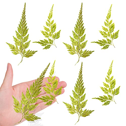 ALJ Real Dried Ferns Leaves, 42PCS Natural Yellow Pressed Ferns Leaves Plant Pressed Leaf for Resin Art DIY Craft Embellishment Decors, Craft Jewelry Card and Making DIY Scrapbooking - color: Fern Leaves-yellow