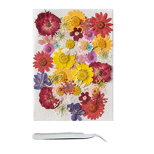 Cayway 42 Pcs Real Pressed Flowers Dry with Tweezers Set, Dried Pressed Flowers Colorful Real Pressed Flowers for Resin Scrapbooking DIY Art Crafts, Epoxy Resin Jewelry, Soap Making - color: 1 Packs Style a