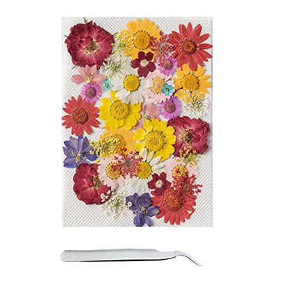 Cayway 42 Pcs Real Pressed Flowers Dry with Tweezers Set, Dried Pressed Flowers Colorful Real Pressed Flowers for Resin Scrapbooking DIY Art Crafts, Epoxy Resin Jewelry, Soap Making - color: 1 Packs Style a