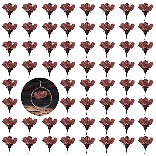Pressed Dried Cherry Flowers, 60PCS Purple Red Natural Real Dried Pressed Cherry Blossom Flowers, Dry Flowers for Resin DIY Ornament Crafts Candle Making - color: Cherry Flowers-purple Red(side Pressure)