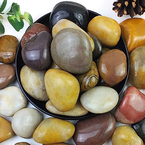 YISZM 10lbs Pebbles for Indoor Plants, 2-3 Inch Mixed Color River Rocks - color: Mixed Color, size: 10 Pounds