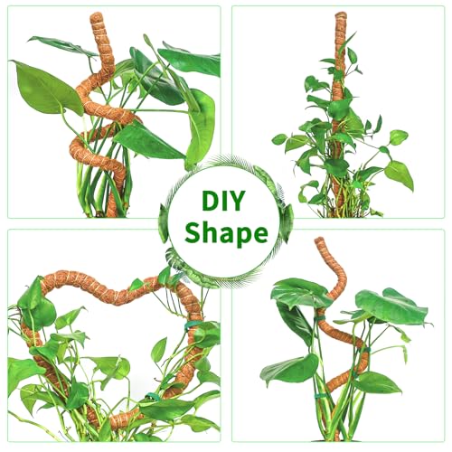 2 Pack Moss Pole for Monstera, 39in Coir Bendable Plant Support Stakes - size: 2 Pack ( 39-Inch)