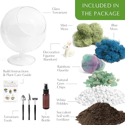 Creations by Nathalie DIY 6" Chalice Terrarium Kit Build Your Own Glass Terrarium for Adults & Teens, DIY Terrarium Kit with Live Moss, Crystals, Soil (Plant Not Included) - color: 6" Chalice