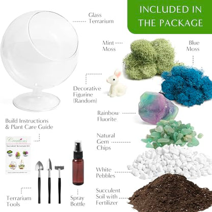 Creations by Nathalie DIY 6" Chalice Terrarium Kit Build Your Own Glass Terrarium for Adults & Teens, DIY Terrarium Kit with Live Moss, Crystals, Soil (Plant Not Included) - color: 6" Chalice