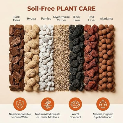 Molly's Succulent Potting Mix, Cactus and Bonsai Gritty Blend, 3 Dry Quarts - size: 3 Dry Quarts, style: Succulents & Cacti