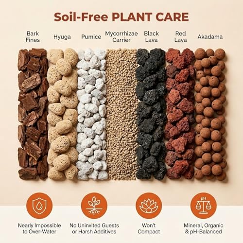 Molly's Succulent Potting Mix, Cactus and Bonsai Gritty Blend, 5 Dry Quarts - size: 5 Dry Quarts, style: Succulents & Cacti