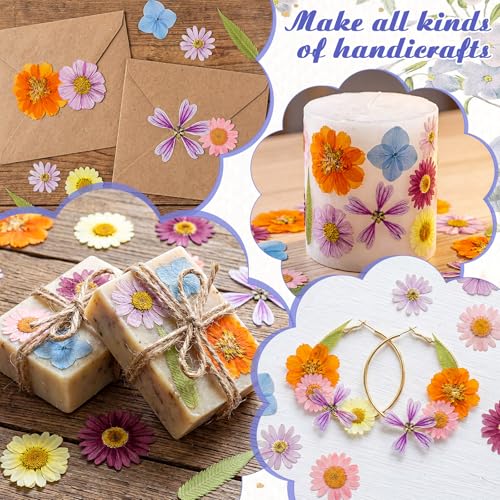 96 Pcs Pressed Dried Flowers, Colorful, Flower Leaf Style | Natural Dried Flowers for Cake Topper Cupcake, Cocktails Garnish, Resin Jewelry DIY, Soap, Candle Making Art Crafts - color: Colorful, style: Flower Leaf Style