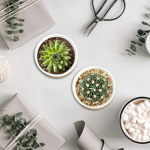 Tosnail 12 Pack Small Succulent Pots with 12 Bamboo Trays, 2.5 Inch Round White Ceramic Mini Plant Pots, Tiny Succulent Planters, Cactus, Flower, Air Plant Containers, Modern Home and Office Decor