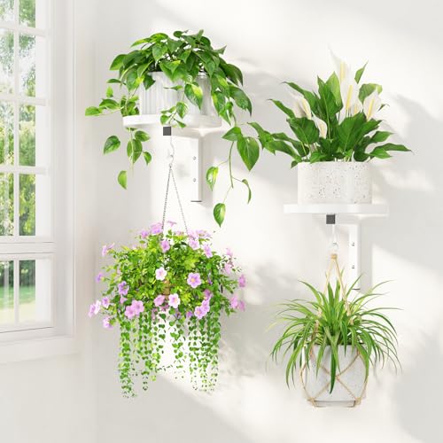 LASZOLA Plant Hanger Holder Window Shelf Wall Mounted Indoor, 2 Pcs White | Modern Metal Floating Stand, Hanging Flower Display Rack, with Hooks for Outdoor Home Kitchen Decor - color: White, size: 2