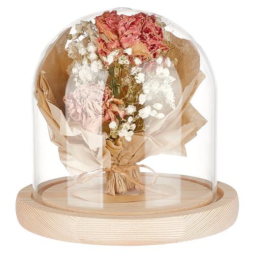 BENECREAT 5x5 Inch Blanched Almond Glass Dome Cloche Wooden Display Dome, Clear Glass Cloche Bell Jar for DIY Flower Craft, Christmas Decorations