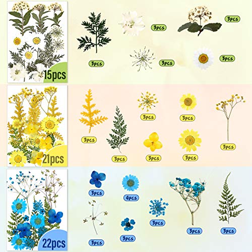 Nuanchu 223 Pcs Real Dried Pressed Flowers for Crafts Natural Dried Leaves and Butterfly Stickers Set Colorful Daisy Flowers and Adhesive Butterfly Decals for DIY Resin Jewelry Nail Crafts Floral Art