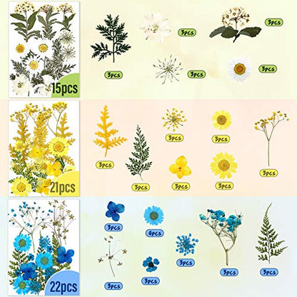 Nuanchu 223 Pcs Real Dried Pressed Flowers for Crafts Natural Dried Leaves and Butterfly Stickers Set Colorful Daisy Flowers and Adhesive Butterfly Decals for DIY Resin Jewelry Nail Crafts Floral Art