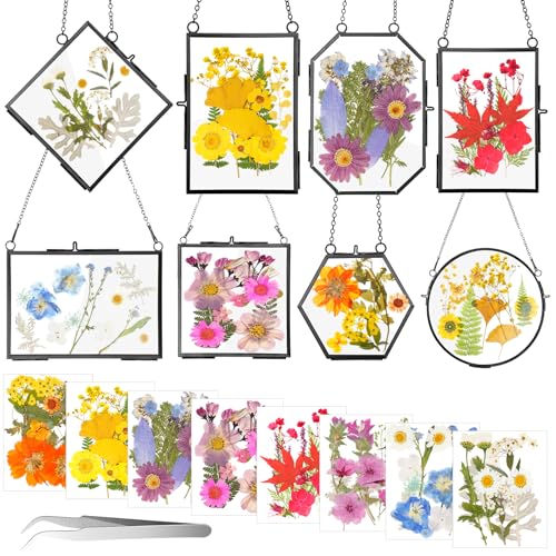 Barydat 8 Set Glass Pressed Flower Frames Gifts for Craft Home Decor,Black - color: Black