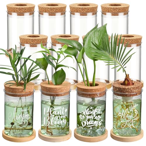 12 Pack Plant Propagation Jars Cork Lids Bamboo Stand,Awesome | Glass Vases for Water Propagation, Desktop Planters Wood Stand, Office Home Decor, Teacher Thank You Gifts, Quotes Art