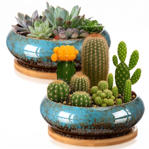 2 Pcs 7.3'' Shallow Succulent Planters Pots, Blue - color: Blue, size: 7.3''
