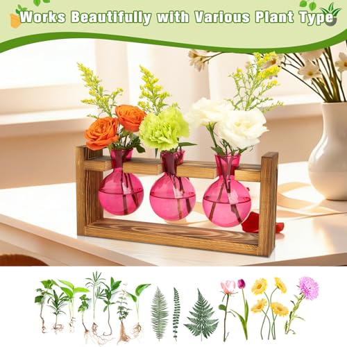 XXXFLOWER Plant Terrarium Jar Propagation Station Stand 3 Pink Bulb Vases - color: Pink
