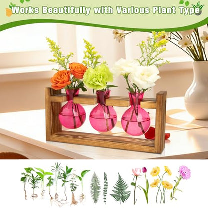 XXXFLOWER Plant Terrarium Jar Propagation Station Stand 3 Pink Bulb Vases - color: Pink
