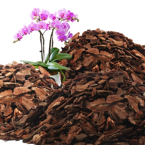 AVALUTION Orchid Potting Bark-18QT Organic Orchid Bark for Plants, All Natural Pine Bark Wood Chips for Houseplant Mulch, Orchid Plants Root Development, Mulch for Potted Plants - color: Large, size: 18 Quarts