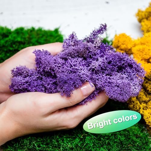 Preserved Reindeer Moss, 4 OZ Fake Moss for Crafts Artificial Dried Moss for Decoration, Craft, Terrariums, Potted Plants, Centerpieces Fairy Gardens (Purple)