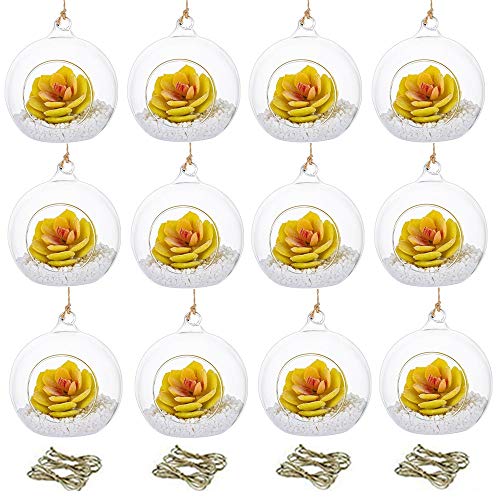 NUPTIO Hanging Glass Terrarium Globes, 12 Pcs, 4 Inch | Clear Round Orbs, for Air Plants, Votives, Tealights, Wedding Centerpieces, Indoor or Outdoor Decor - size: 4" / 10cm