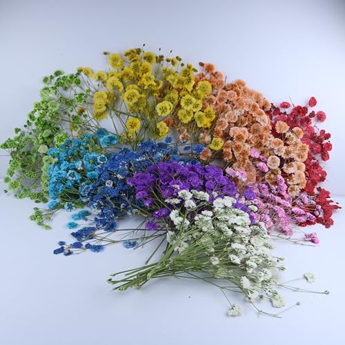 9 Mixed Color 90 Branches Babys Breath Flowers Set,Real Gypsophila Natural Dried Pressed Flowers,for Resin Candle Crafts Scrapbooking Bookmark DIY Nails Jewelry , Plant Herbarium +1 Tweezers - size: 90pcs