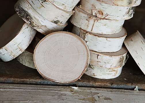 Wilson Birch Round (2-3 inch Diameter x 1 inch Thick, 20 pcs)
