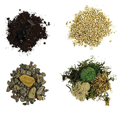 Cute Farms Terrarium Starter Kit | Moss, Vermiculite, Soil, Pebbles, Plant Food, Finishing Tools, Build and Care Guide | DIY Succulent Terrarium for Adults and Kids (Large + Live Plants) - size: Large Kit + Live Plants