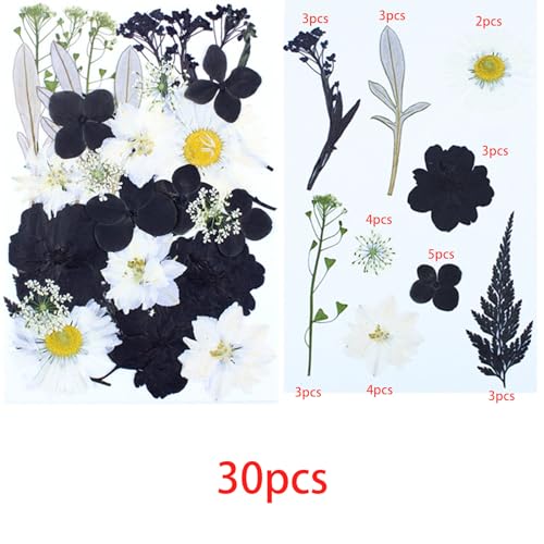 Cayway 2 Pack Pressed Flowers Natural Dried Flowers Black Resin Flowers Real Pressed Flowers with Butterfly Sticker for Resin Scrapbook DIY Art Crafts, Epoxy Resin Jewelry Supplies, Style D - color: Black White Style D