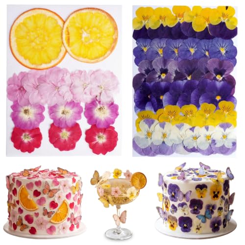 100 PCS Real Dried Pressed Flowers, Mix Natural Dried Pansy Citrus for Cake Decor, Non-Edible Cocktail Decorations, DIY Resin Mold Jewelry Making Craft(Dual Tone) - color: Dual Tone