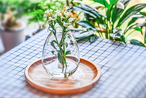 Kingbuy Wall Hanging Glass Planter Flower Vase Plant Propagation Station for Hydroponic Plants Home Office Garden Decor - 2 Egg Shape Plant Terrarium and 4 Square Shape Vase