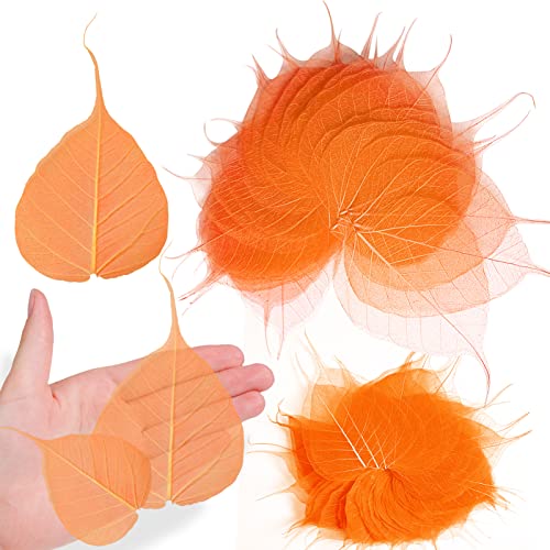 Natural Orange Dried Pressed Skeleton Leaves Vein for Resin, 42PCS Real Pressed Dry BodhiSkeleton Leaf for Resin Mold Art DIY Craft Candle Making Phone Case Home Wedding Decor - color: Bodhi Skeleton Leaves-orange