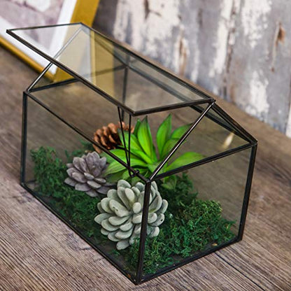 House Shape Close Glass Geometric Terrarium Tabletop Succulent Plant House Garden Planter Moss Fern Swing Lid, Flower Pot for Plants Succulent, Air Plant (Black)