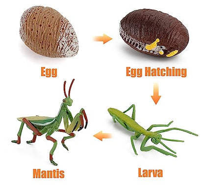 Montessori Life Cycle Animal Plastic Insect Figurines Learning & Education Toys for Kids, Preschool Activities (Dragonfly Mantis Cicada Bumblebee) - color: Dragonfly Mantis Cicada Bumblebee