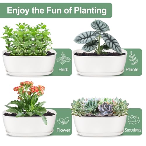 Oliz Set of 4 White Oval Shallow Herb Garden Planters with Drainage Holes and Trays (8.66 Inch) Plant Pots for Herbs Basil Orchids Succulents, Modern Herb Garden Planter for Indoor/Outdoor Plants - size: 8.66 x 6.1 x 3.39-inch