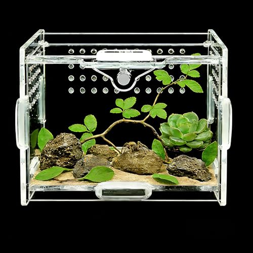 Mini Acrylic Spider Enclosure, Clear Habitat with 1mm Ventilation - size: Small Square Acrylic Terrarium