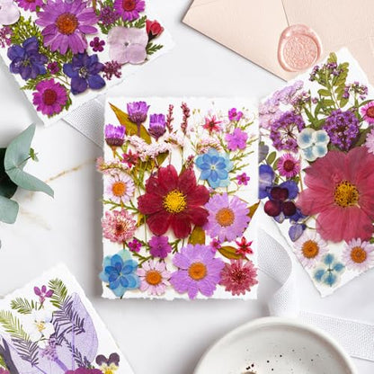 Dried Pressed Flowers Leaves Kit(120Pcs Purple) | Real Natural Flowers, Scrapbook Supplies, Candle & Soap Making, Jewelry Crafting, Phone Case Decor - color: 120pcs Purple