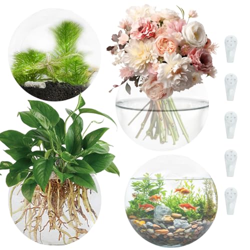 Wall Propagation Planters Wall Planter for Indoor Plants, 4 Pack Oblate Glass Flower Vase for Propagation Flower Vase Holder for Hydroponics Plants Modern Home Corridor Decor