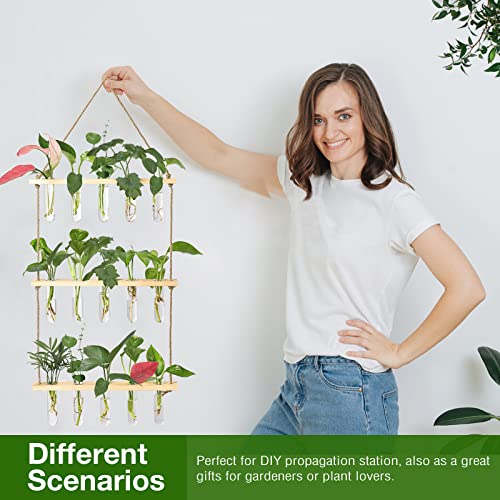 XXXFLOWER Wall Hanging Propagation Station with Wooden Stand 5 Glass Test Tubes+4 Tube Vases
