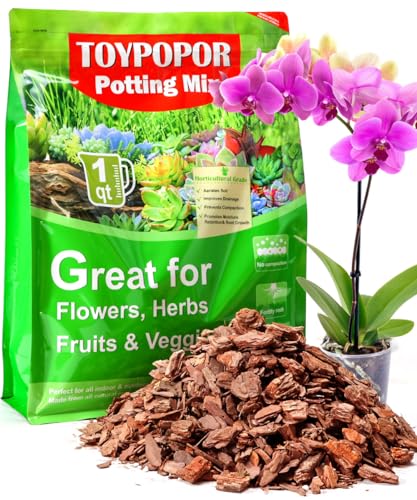 TOYPOPOR Orchid Potting Mix, Orchid Bark with Perlite, Potting Soil Medium for Plants Indoor, Pine Bark Wood Chips for Houseplant Fast Drainage, Water Retention, Air Flow and Root Ventilation 1 Quart - color: potting bark, size: 1 qt